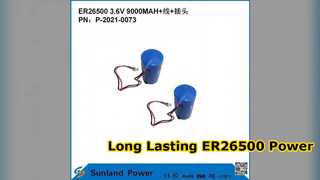 Ισχύς μπαταρίας Long Life 9AH ER26500